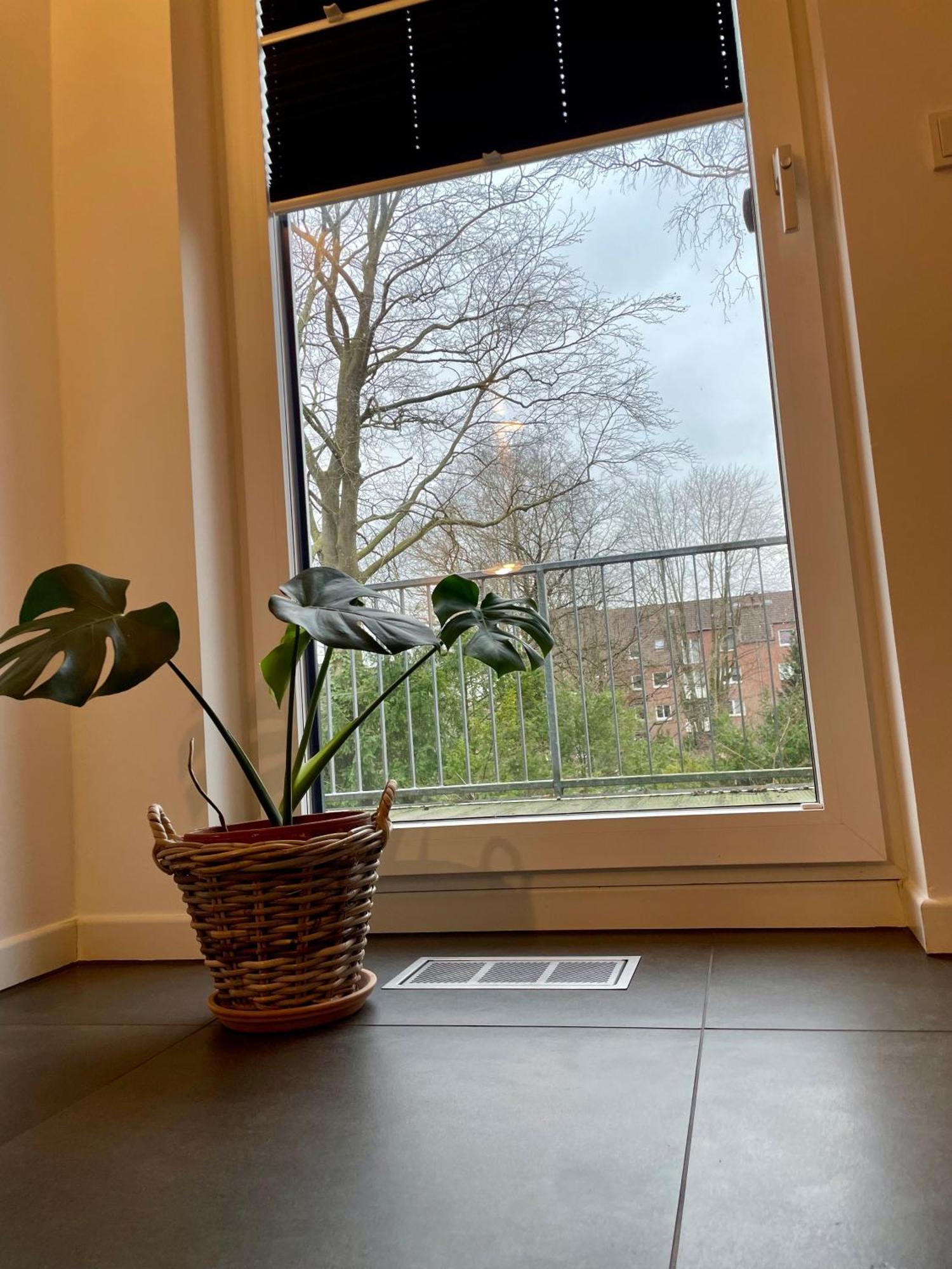 Modernes Holzhaus Im Skandinavischen Stil Mit Sauna, Garten Und 2 Katzen Norderstedt Esterno foto